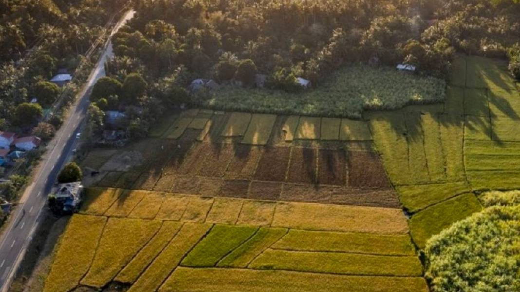 8 taksitle tapu fırsatı: Milli Emlak 100 bin liraya arsa satacak 4